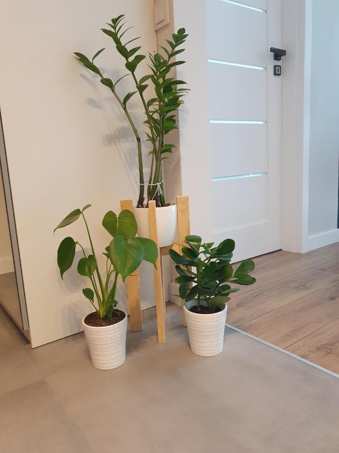 Vizzit Us Premium Apartments Marina Mokotow 华沙 外观 照片